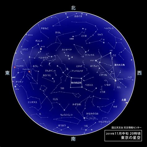 11月25日是什麼星座|射手座（占星学术语）